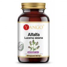 Alfalfa - Lucerna Siewna - 60 kaps. Yango