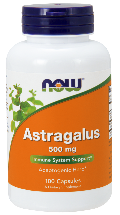 Astragalus 500 mg - 100 kapsułek