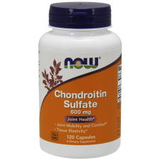 Chondroitin Sulfate, 600mg - 120 capsules NOWFOODS