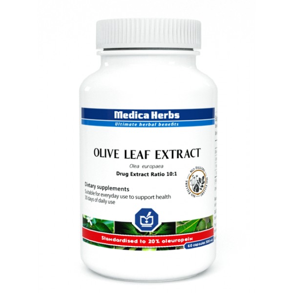 Liść Oliwny Olive leaf 500mg (Olea europaea) 60 kapsułek Medica Herbs